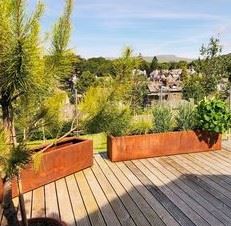 Corten Steel Blossom Elegance Outdoor Planter